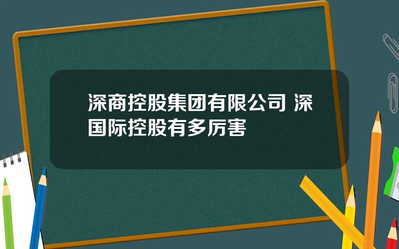 深商控股集团有限公司 深国际控股有多厉害